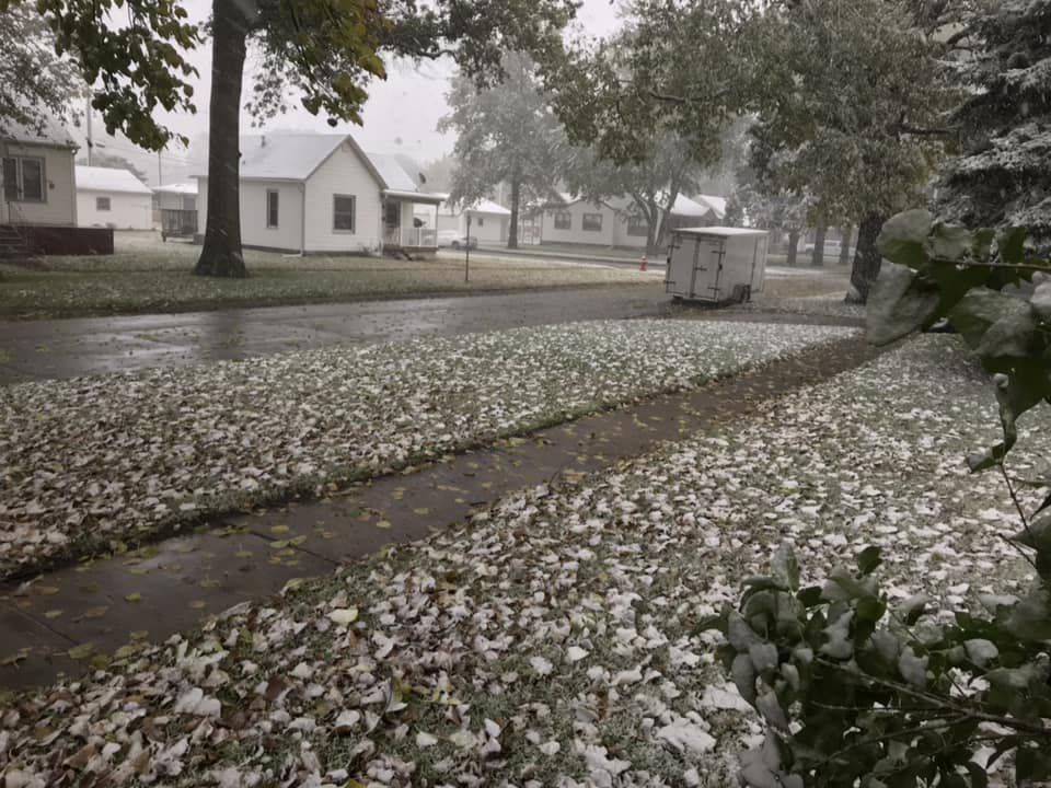 Snow, 10/14